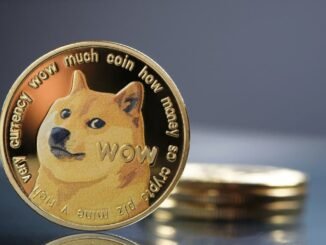 Here's When Dogecoin (DOGE) Can Skyrocket to $1.1: Analyst Explains