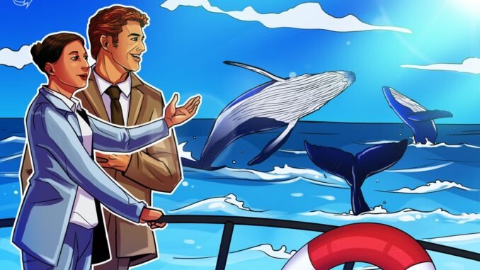 Hyperliquid opened doors to ‘democratized’ crypto whale hunting: Analyst