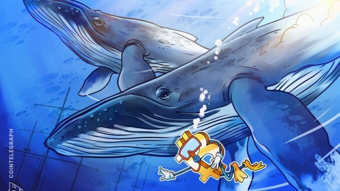 Bitcoin whales, pundits continued to stack throughout April, data shows