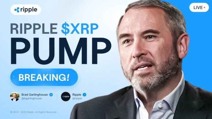 Brad Garlinghouse: Ripple PUMP - Is Bull Run CONFIRMED?! XRP Price Prediction