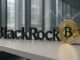 BlackRock's Bitcoin ETF sheds $430 million, its largest single-day outflow