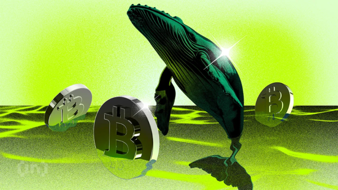 New Bitcoin Whales Now Hold Majority of BTC Capital 