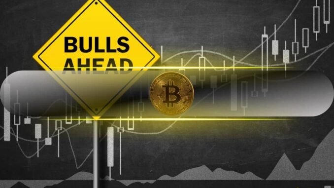 Bitcoin Futures Market Signals Bullish Momentum as Short Liquidations Dominate