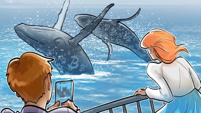 Bitcoin's ‘big whales’ continue sell-off after all-time high
