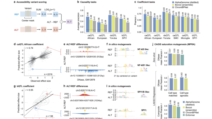 Google DeepMind Releases AlphaGenome: A Deep Learning Model that can more Comprehensively Predict the Impact of Single Variants or Mutations in DNA