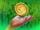 Bit Origin Buys 40 Million Dogecoin As Part of Crypto Pivot