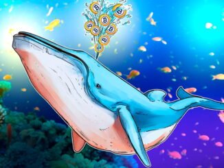 No Indications of Sell-Off in $8.6B Bitcoin Whale Transfer