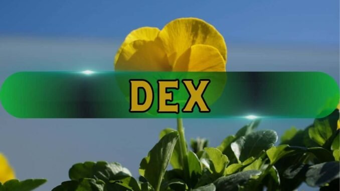 DeFi vs. CEX? CZ Says the Winner Is Clear DeFi vs. CEX? CZ Says the Winner Is Clear