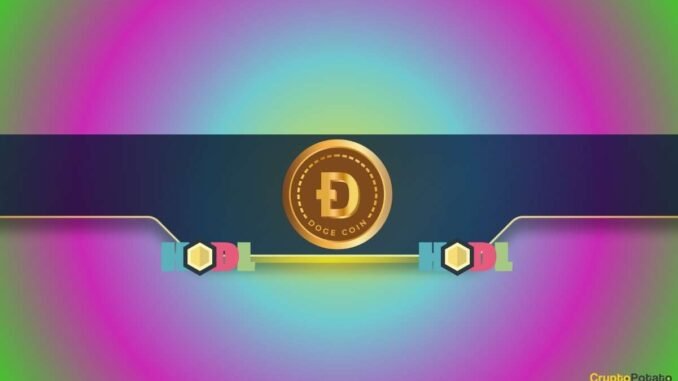 Dogecoin (DOGE) Reclaims Key Level as RSI Signals Potential Trend Shift