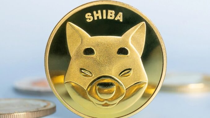 Shiba Inu forecast as bulls eye breakout after deep accumulation