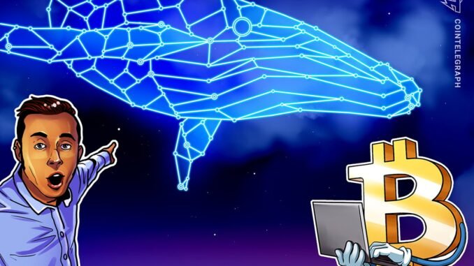 ‘Insider’ Whale Moves $588M in Bitcoin, Sparking BTC Drop Fears