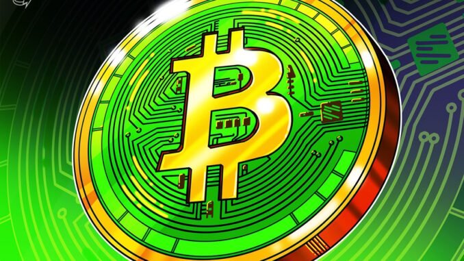 Bitcoin Cash Becomes Year’s Best-Performing L1 With 40% Gain