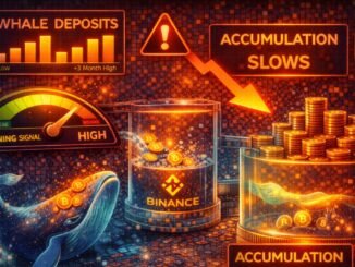 Bitcoin Warning Signal Emerges: Whale Deposits Rise And Accumulation Slows