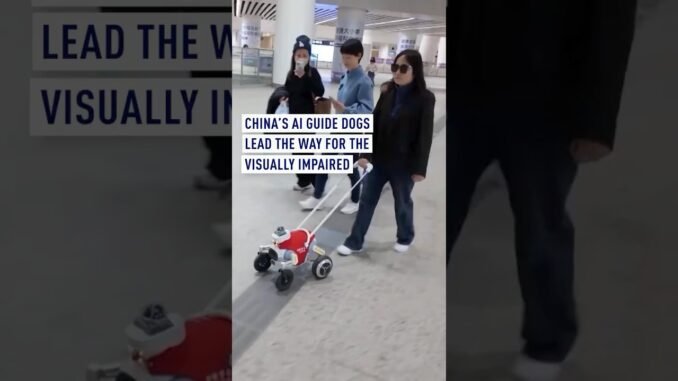 China’s AI Guide Dogs Lead the Way for the Visually Impaired