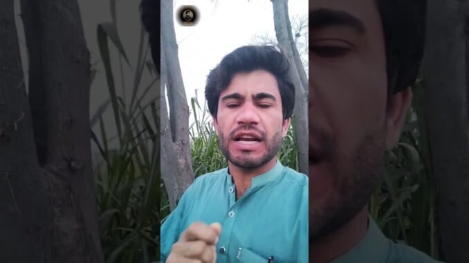 Forex or Crypto 😱 for beginners Traders #trading #facts #msgm